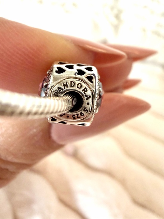 RARE❗️ Retired PANDORA ESSENCE Set of 2 Bracelets & 4 Charms - Picture 15 of 17